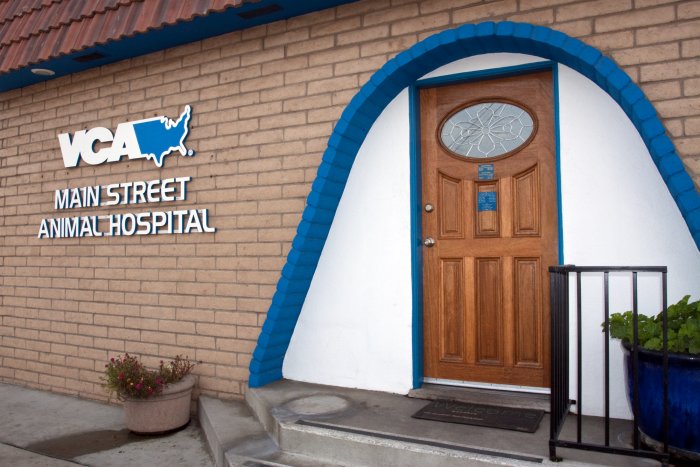 Image 6 | VCA Main Street Animal Hospital