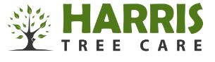 Harris Tree Care Ltd Taunton 07736 642453