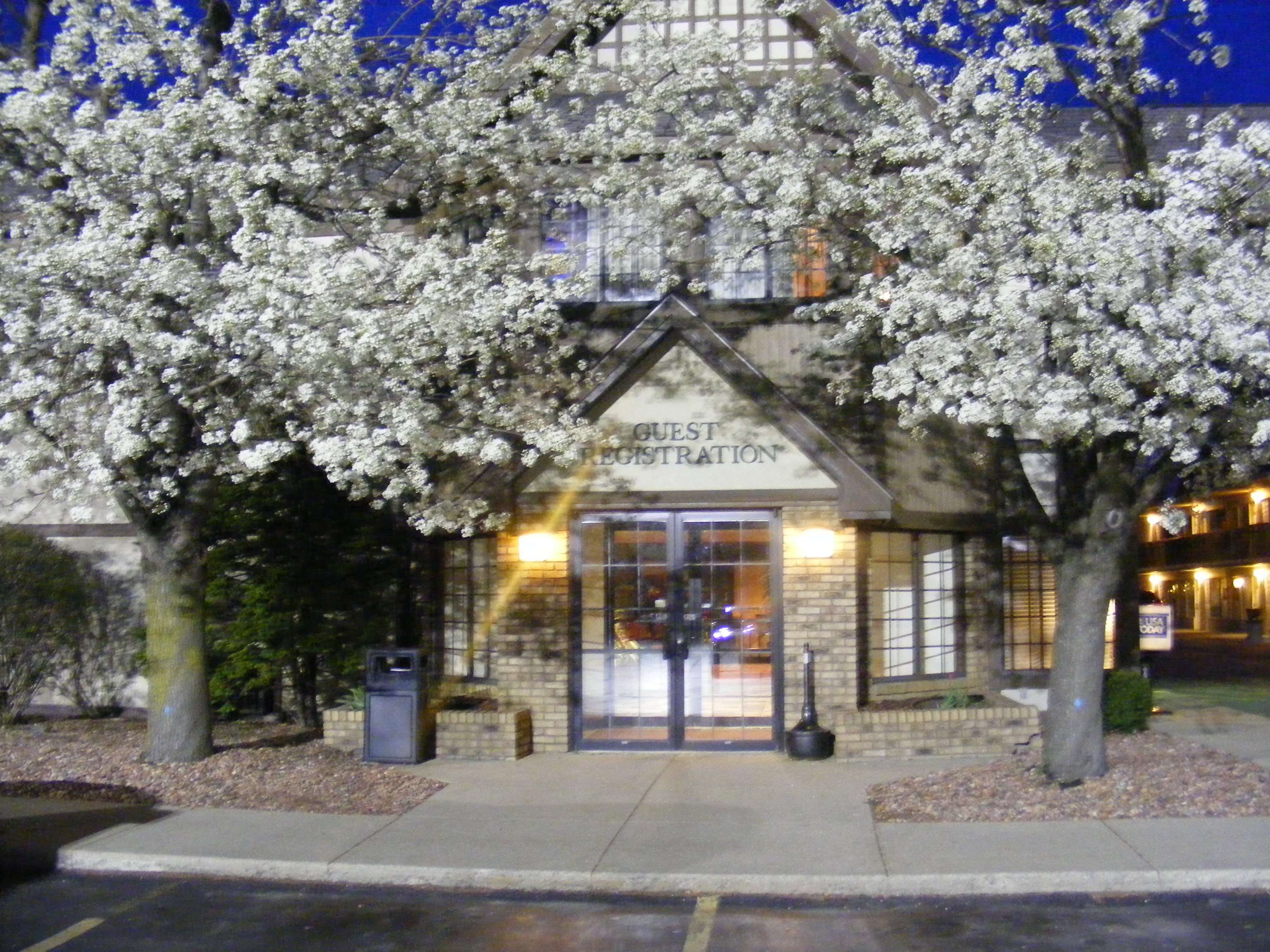 Birch run discount coupons