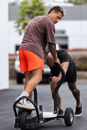 Images Black Sheep Enterprises Group