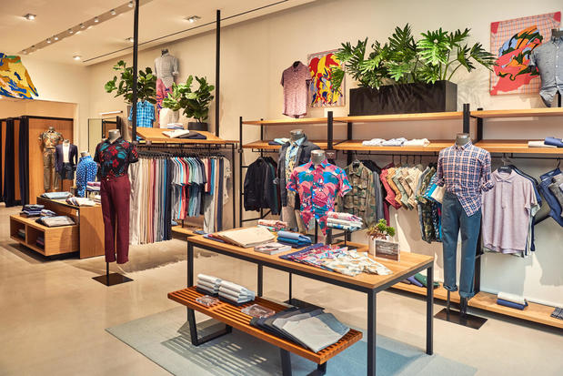 Images Bonobos