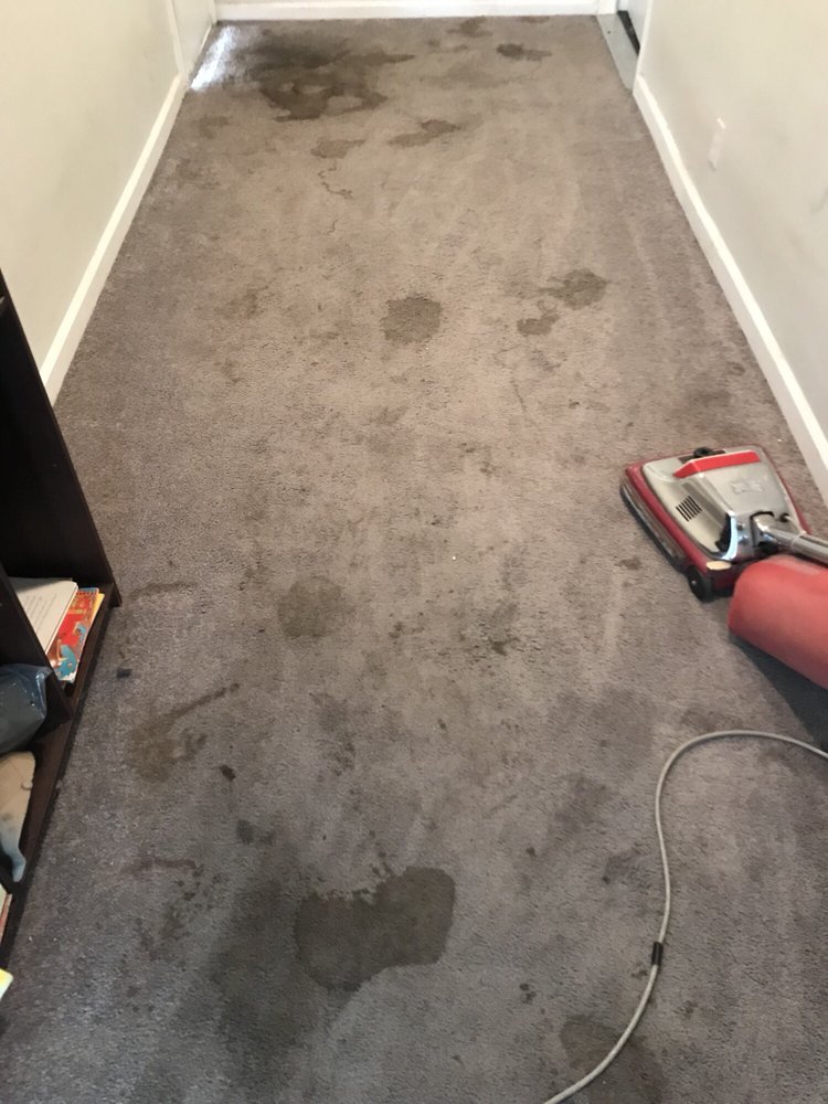 Heaven's Best Carpet Cleaning Photo