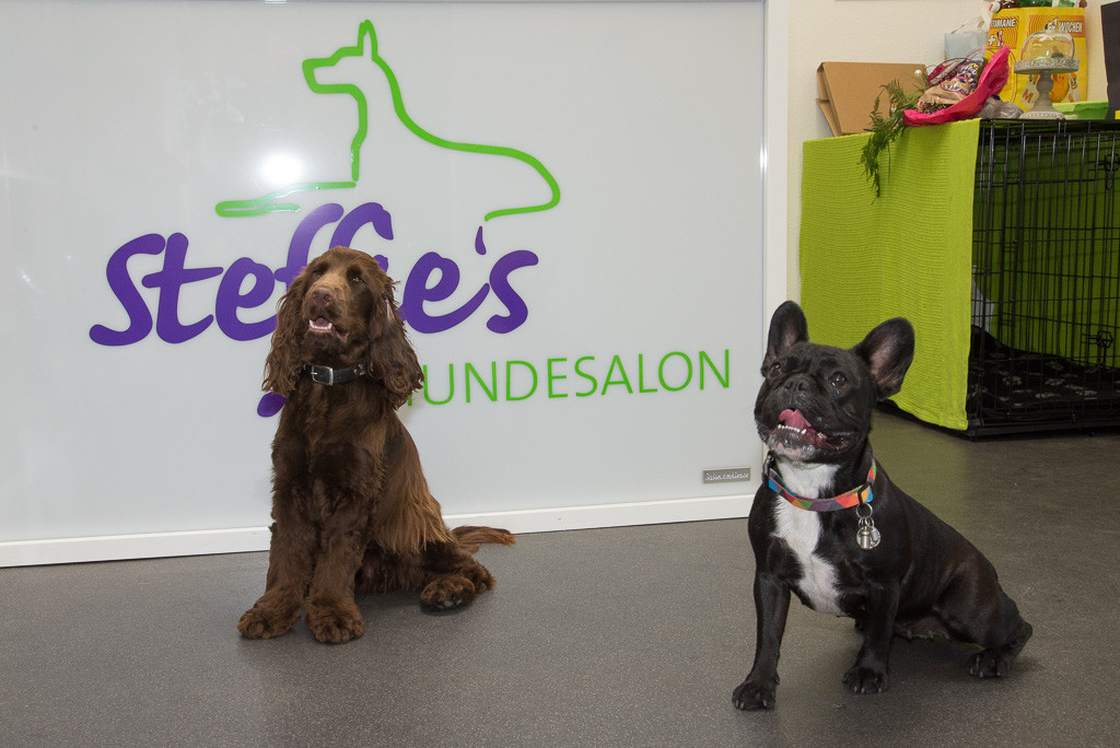 Steffie's Hundesalon, Ergeten 25 in Eschlikon (Hurnen)