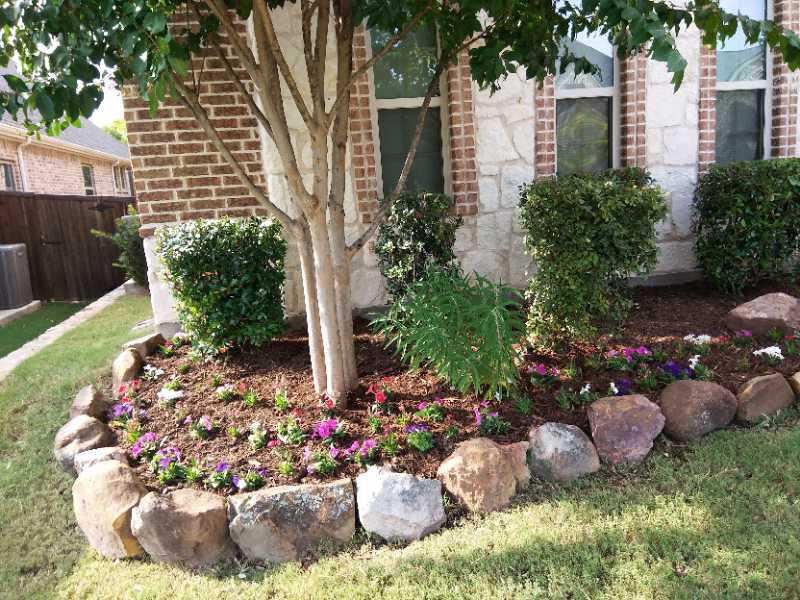 Give your yard a new life! Contact us today!