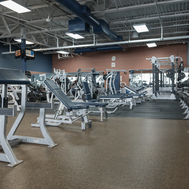 Images The Workout Club of Manchester