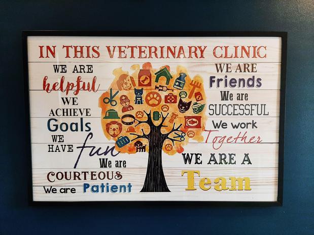 Images VCA Montgomery Road Animal Hospital