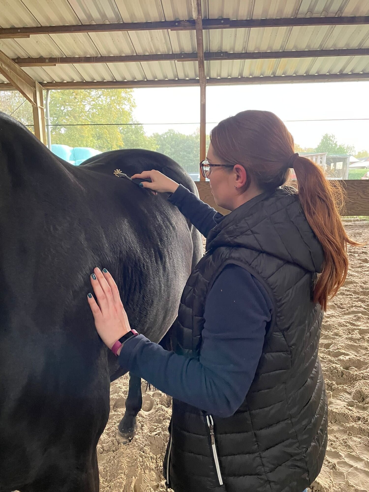 Bilder sh-Bewegungstherapie