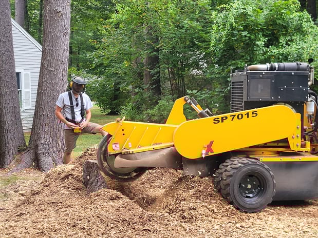 Images Maineland Stump Grinding