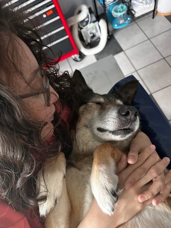 Images VCA Preston Park Animal Hospital