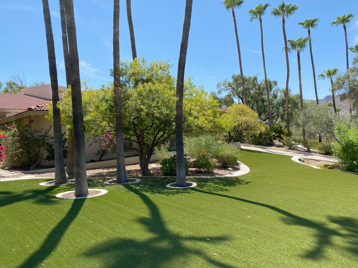 At Mountainscape South Landscaping, our Scottsdale landscapers specialize in high-quality landscaping and hardscaping solutions tailored to your home. We design and install paving stones, retaining walls, turf, and artificial grass systems that enhance curb appeal and require minimal maintenance.