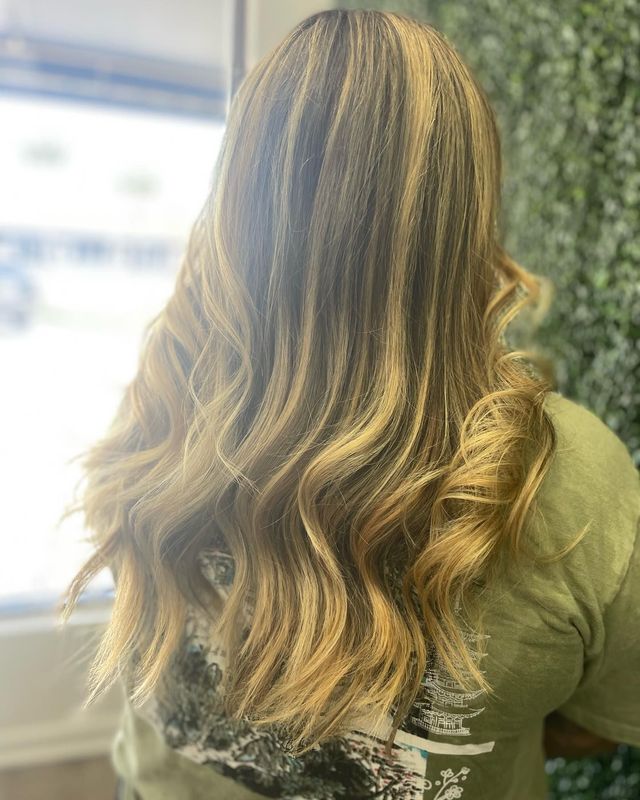 Images The Mane Attraction