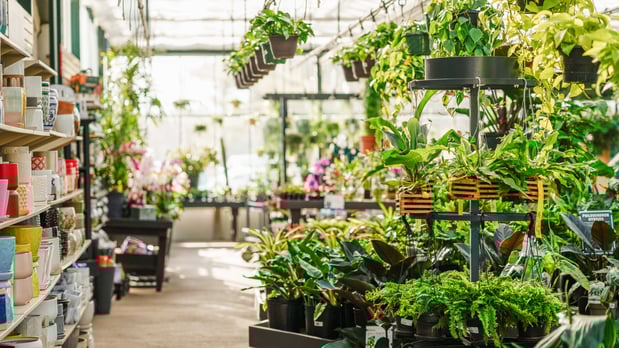 Images Mahoney's Garden Center