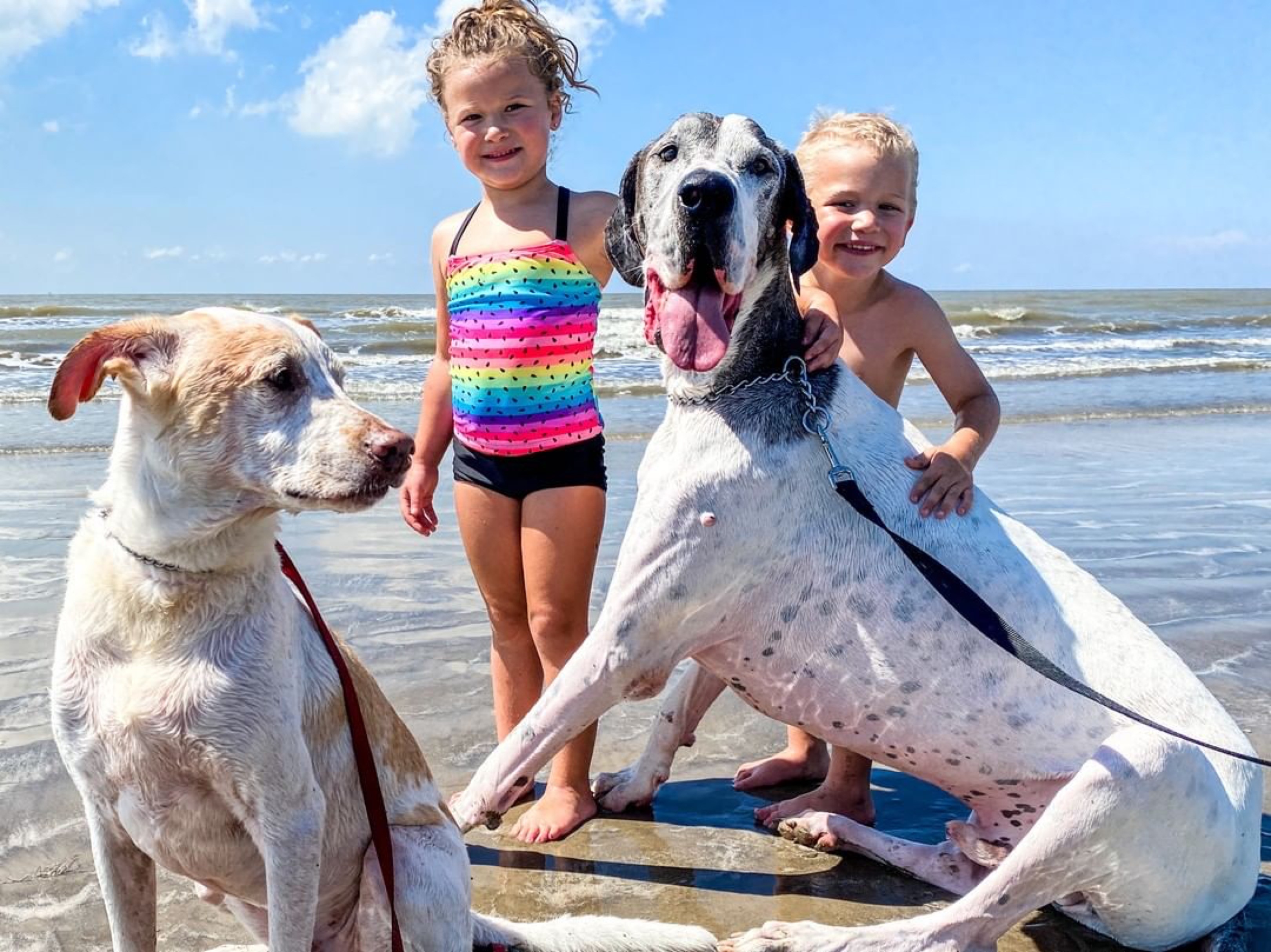 Two young kids enjoy McFaddin Beach with their dogs in Port Arthur, Texas