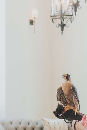 Images The Peregrine Omaha Downtown, Curio Collection by Hilton