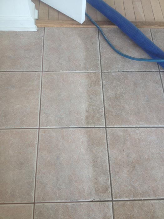 Images Carpet Luster