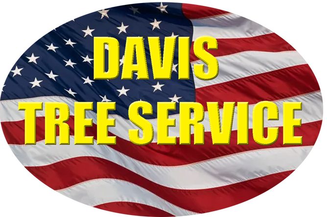 Image 2 | Davis Tree Service