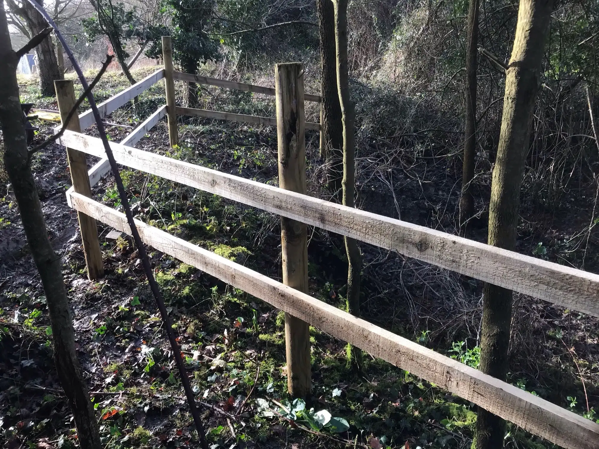 Images Gareth Shallcross