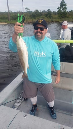 Images E-6 INSHORE FISHING ADVENTURES, LLC