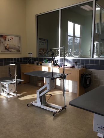 Images Petco Grooming