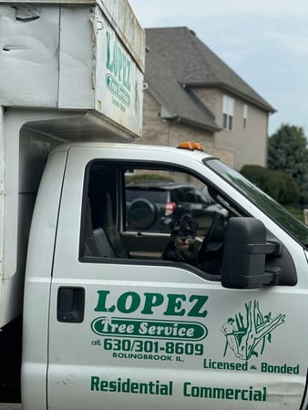 Images Lopez Tree Service Corp.