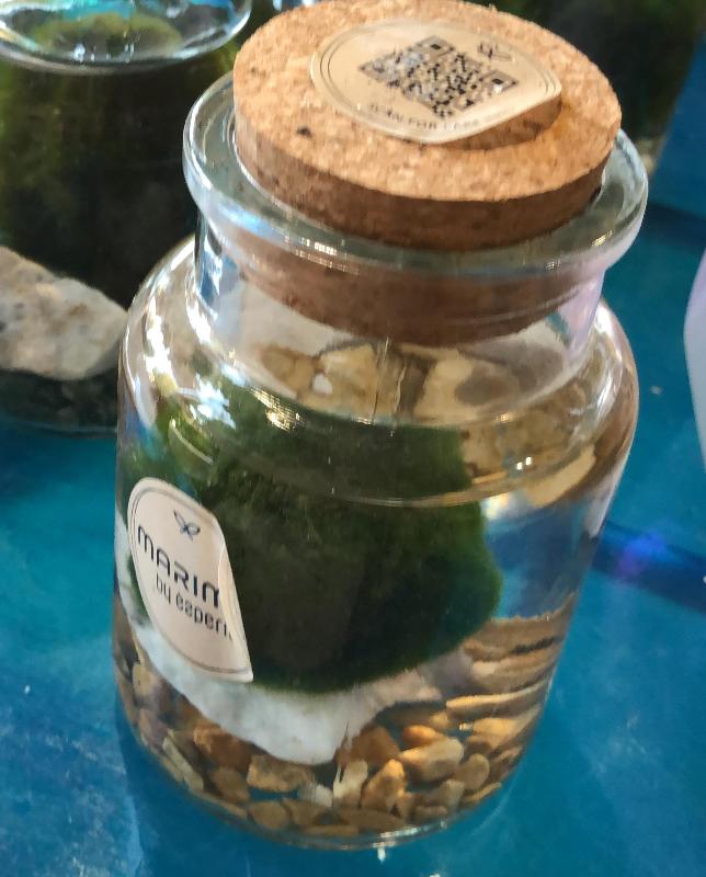 Images Il Giardino Segreto di Radrizzani Sara