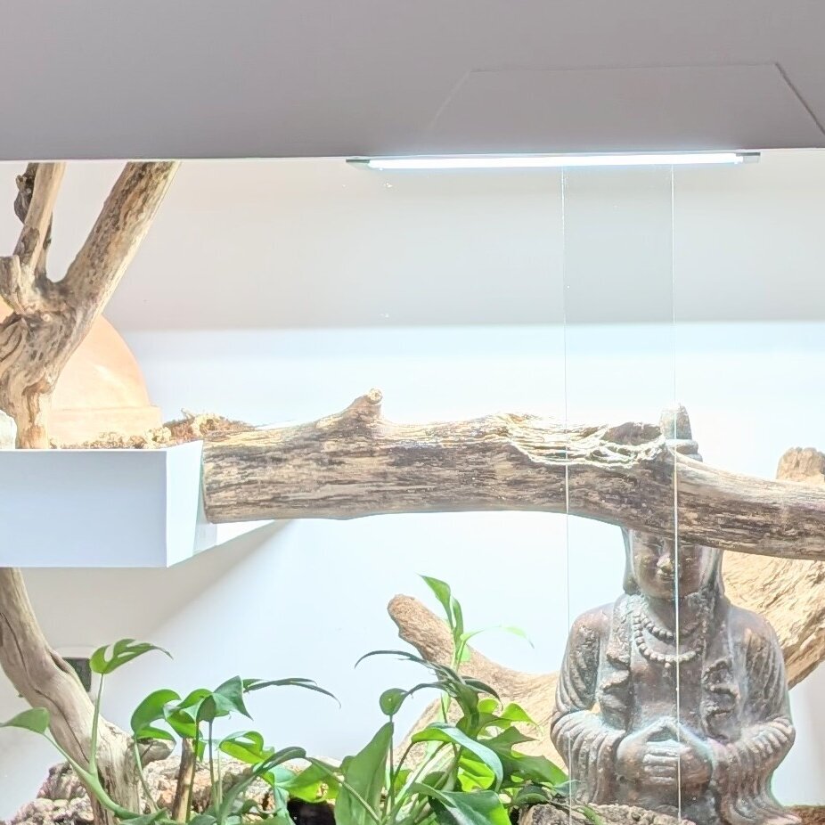 buddys.snakes Terrarien by Sebastian Hoffmann in Bad Ditzenbach - Logo