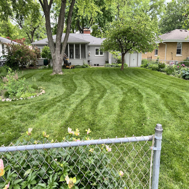 Images Quality Lawn Care by Nick Mayes