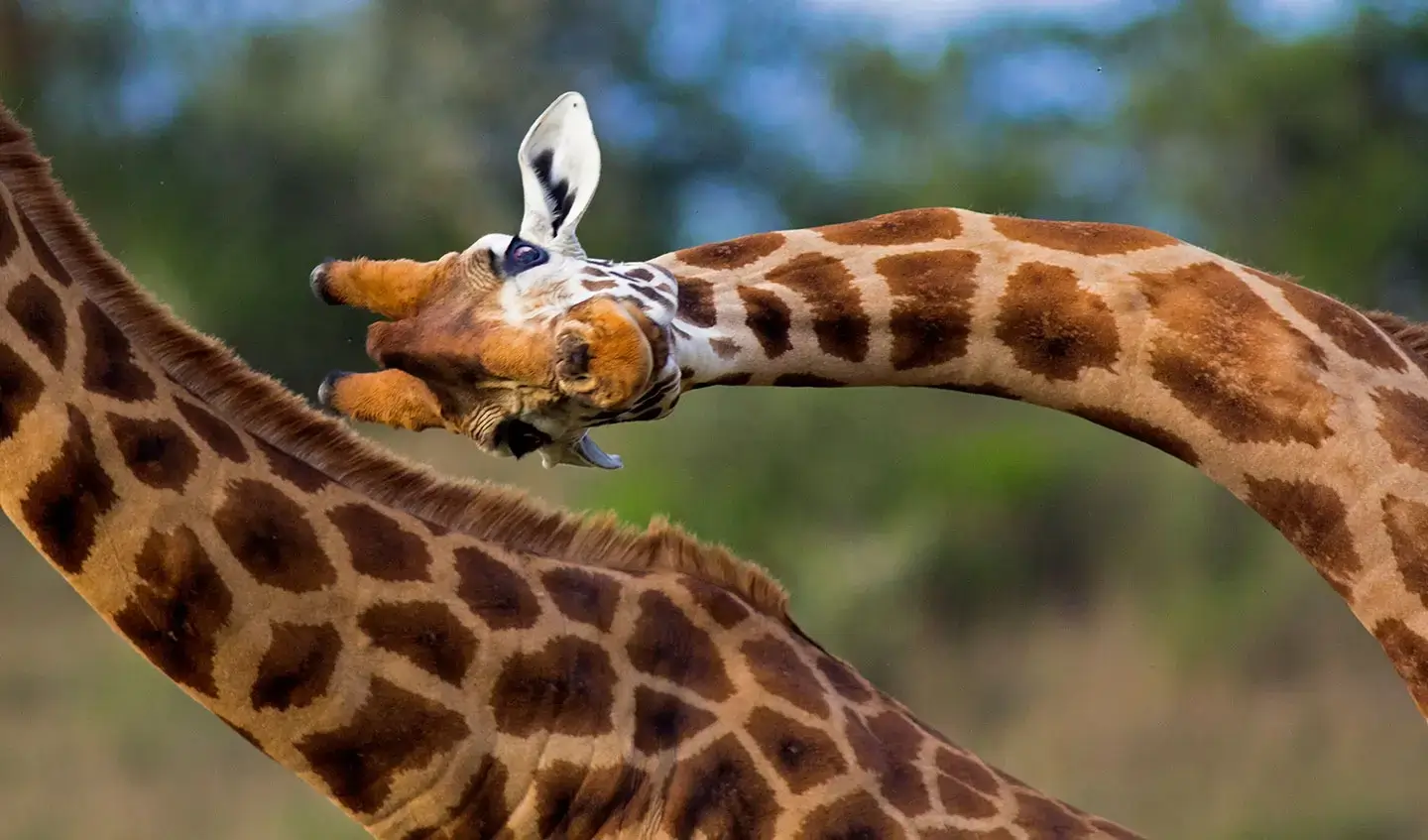 Bilder frey-sein - Die Agentur für Kommunikation