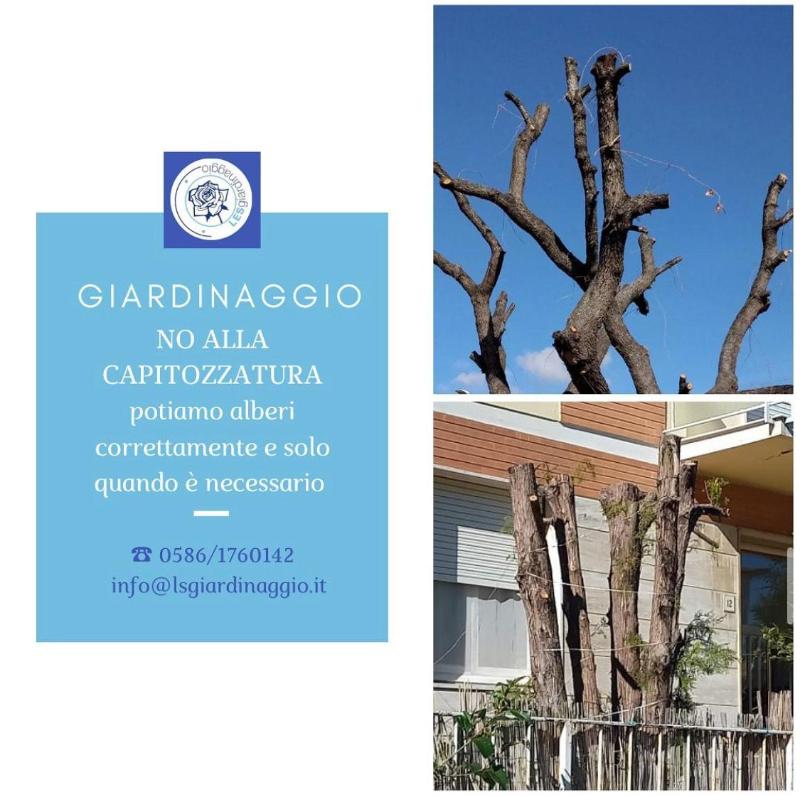 Images Les Giardinaggio
