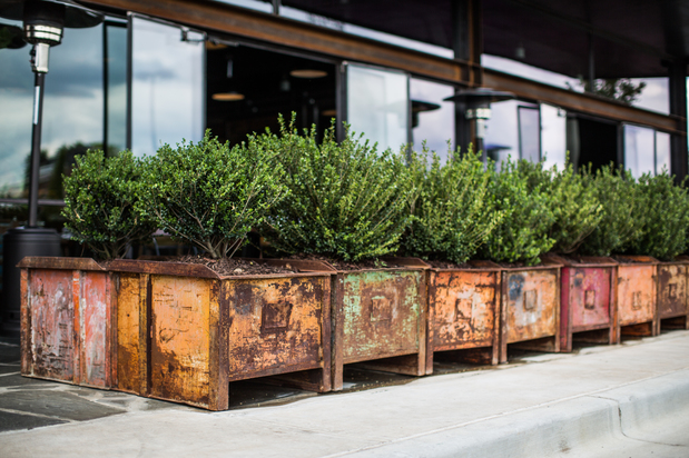 Images Barcelona Wine Bar