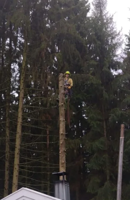 Images Tmi Paavo Maikkula