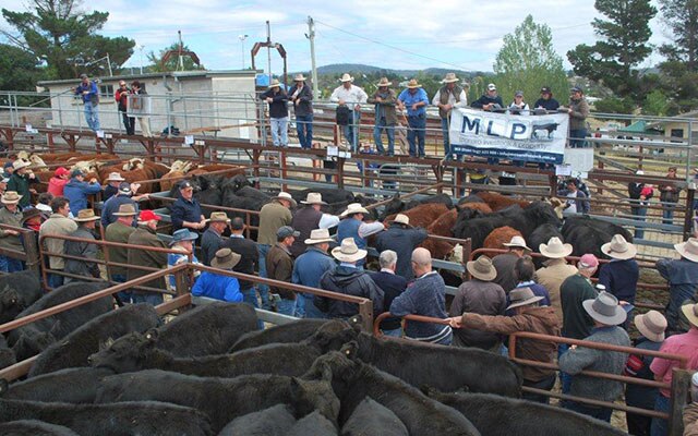 Images Monaro Livestock & Property Pty Ltd