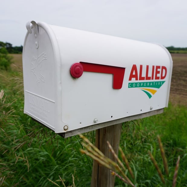 Images Allied Cooperative