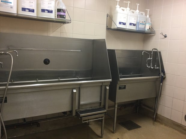 Images Petco Grooming