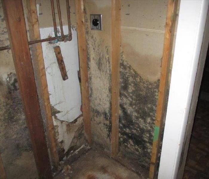 Mold in Closet of Patchogue Home