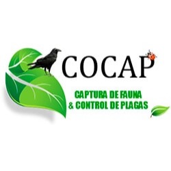 Cocap Fumigaciones Monterrey