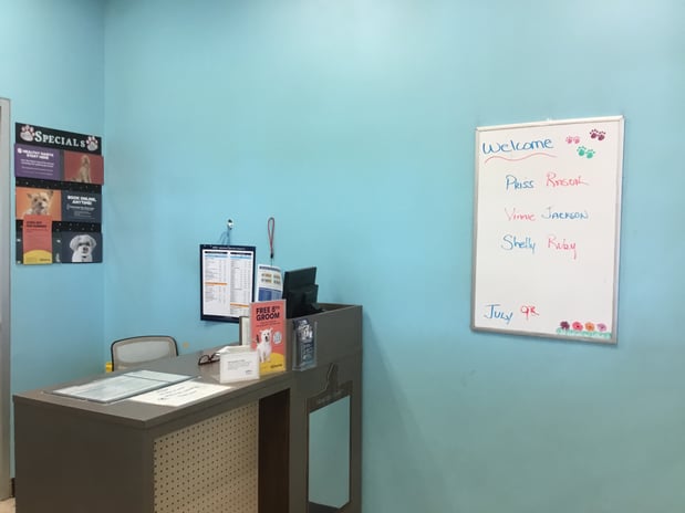 Images Petco Grooming