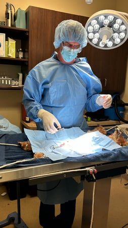 Images Bingle Veterinary Clinic