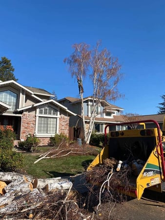 Images Am/Pm Tree Service, Inc.