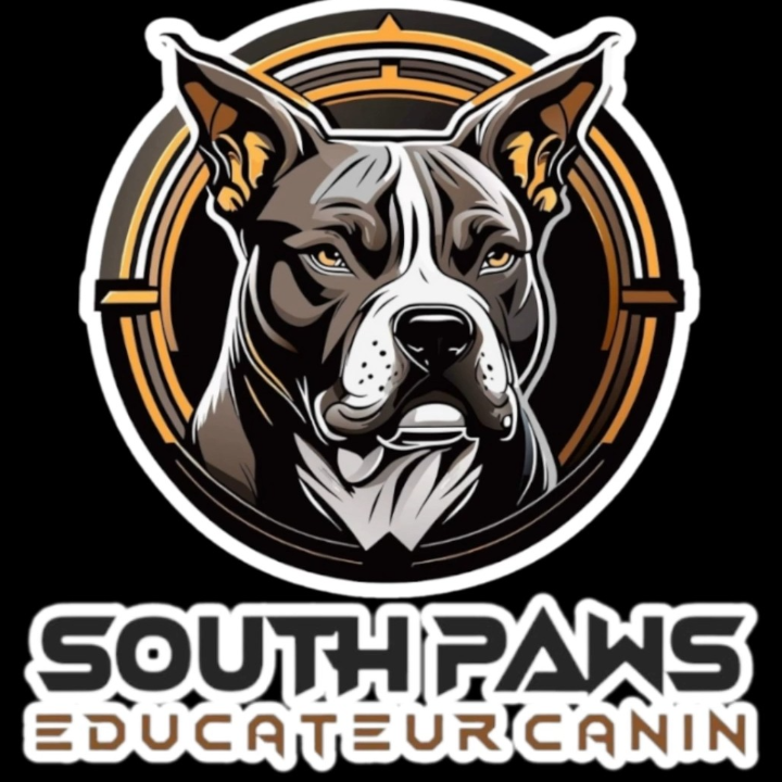 SOUTH PAWS 13 dressage animal