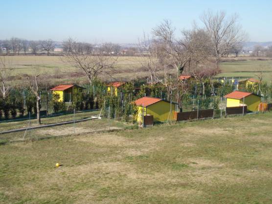 Images Happy Dog Village
