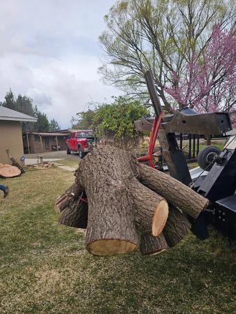 Images H & S Tree Care