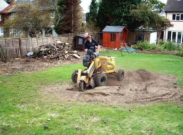 Images Yorkshire Tree Contractors