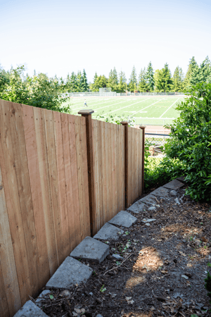 Images Rare Bears Fencing