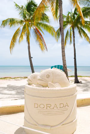 Images Dorada