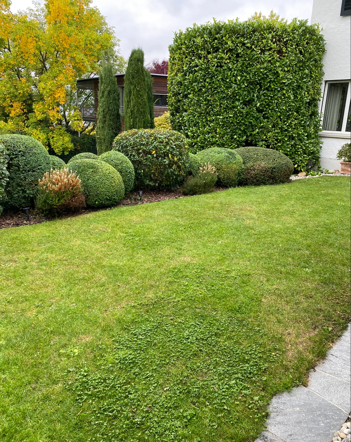 Bilder Lusogarten GmbH