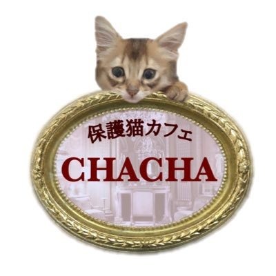 保護猫カフェCHACHA Logo