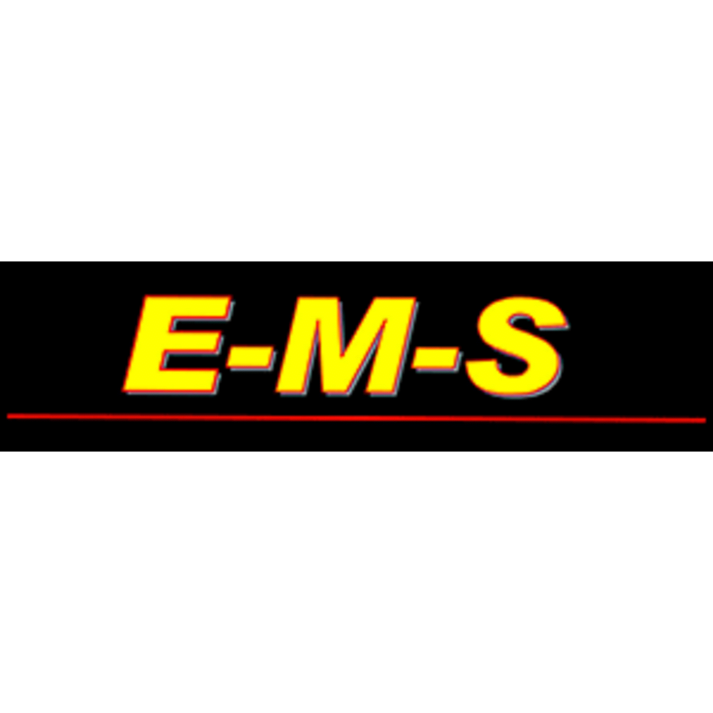 E-M-S Entsorgung mit System GmbH logo