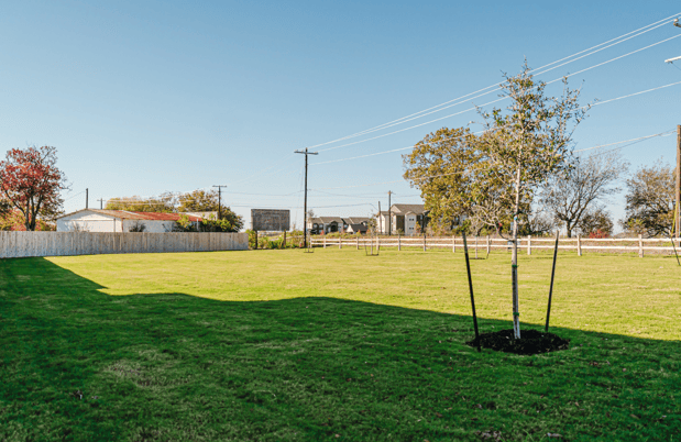 Images Wonderyard