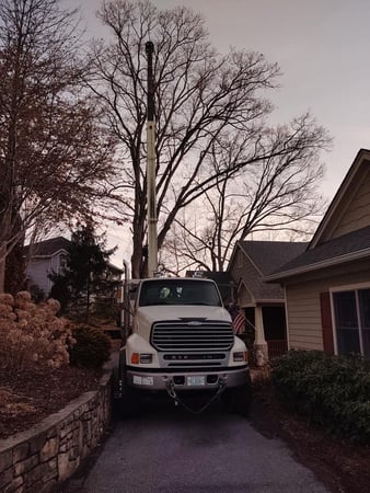 Images Cope Tree Service & Mulch Delivery